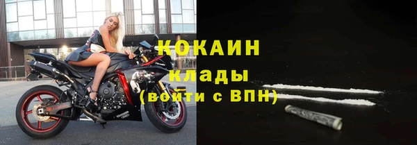 дурь Богданович